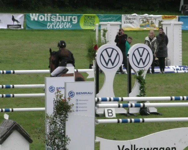 Reitturnier Wolfsburger Klassiker 2024