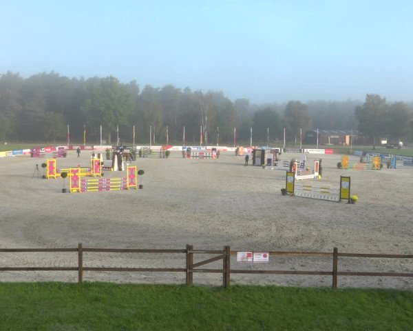 Reitturnier Westergellersen 2021