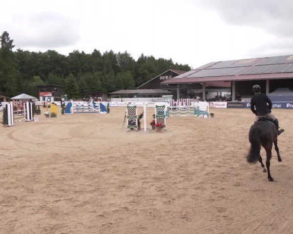 Reitturnier Ranshofen - Braunau am Inn 2024