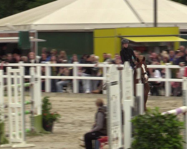 Reitturnier Dortmund-Somborn 2024