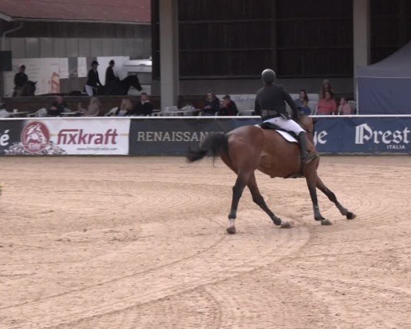 Reitturnier Ranshofen - Braunau am Inn 2024