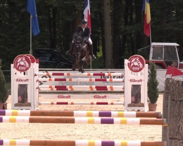 Reitturnier Ranshofen - Braunau am Inn 2024