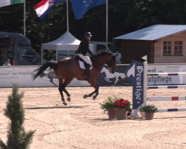 Reitturnier Ranshofen - Braunau am Inn 2024