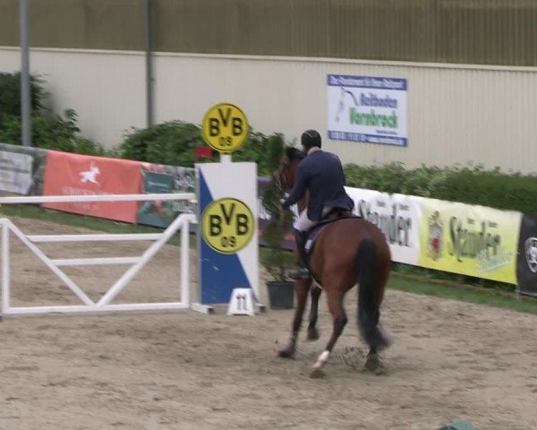 Reitturnier Kirchhellen/Stall Dieckmann 2024
