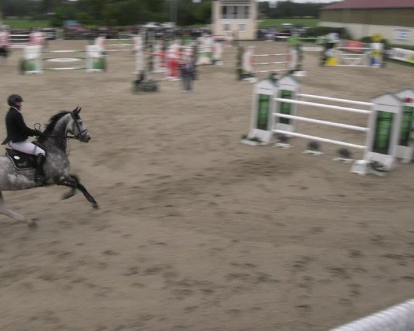 Reitturnier Kirchhellen/Stall Dieckmann 2024