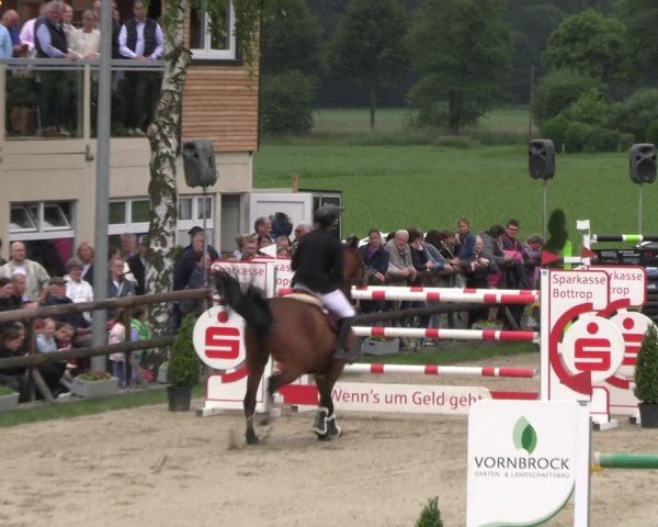Reitturnier Kirchhellen/Stall Dieckmann 2024