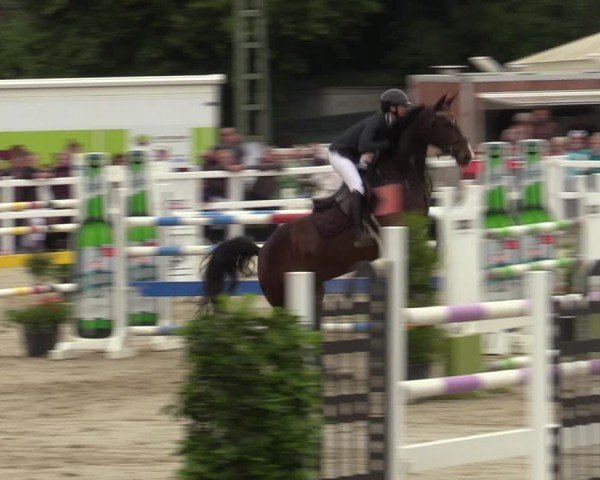 Reitturnier Dortmund-Somborn 2024