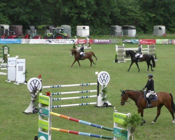 Reitturnier Wolfsburger Klassiker 2024