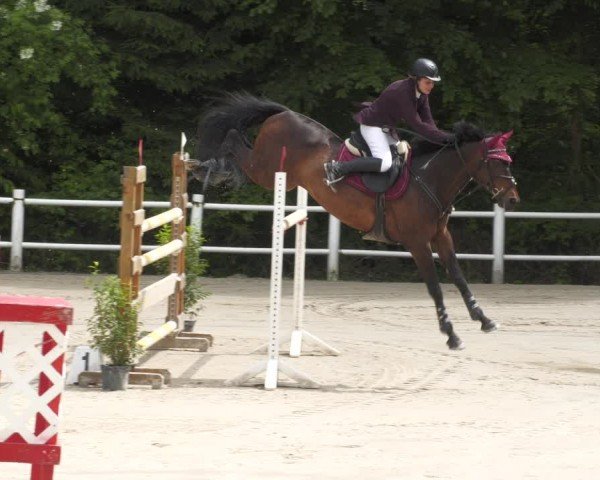 Reitturnier Losheim am See 2024
