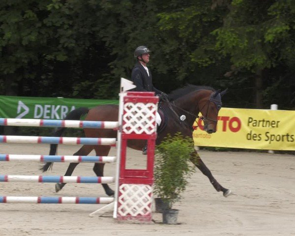 Reitturnier Losheim am See 2024