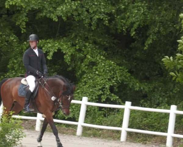 Reitturnier Losheim am See 2024
