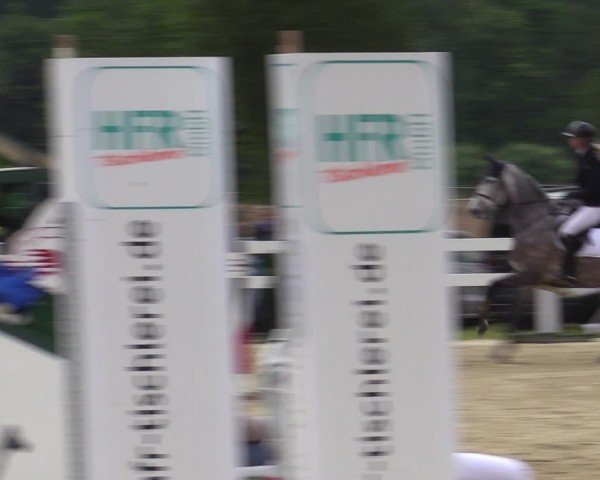 Reitturnier Münster-Angelmodde 2024