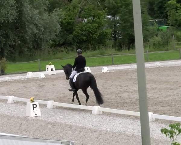 Reitturnier Gossau 2024
