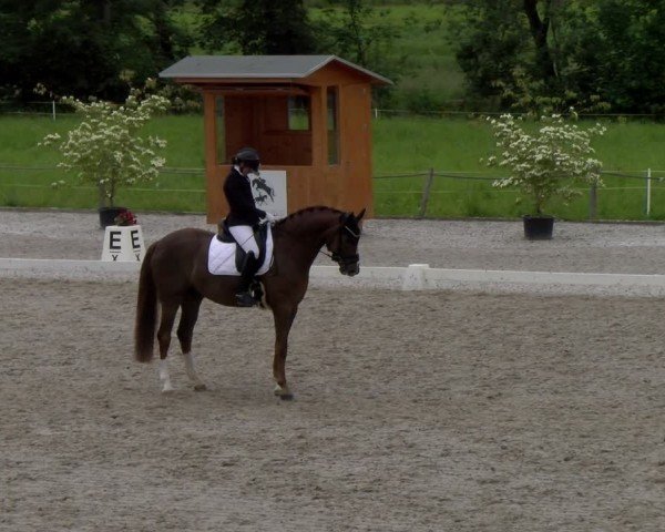 Reitturnier Gossau 2024