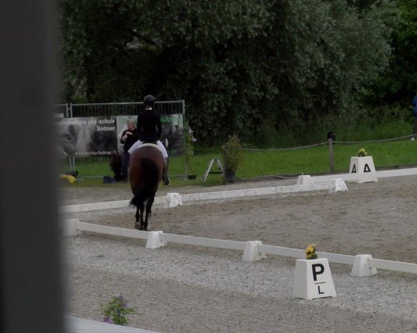 Reitturnier Gossau 2024