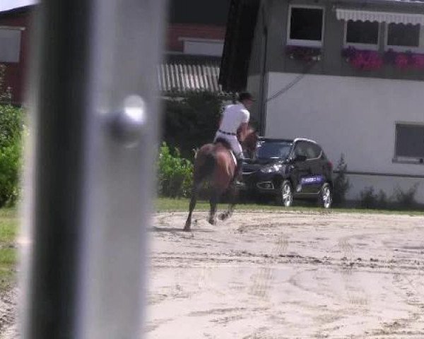 Datteln 2012