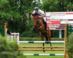 jumper Continja PS (Oldenburg show jumper, 2018, from Continental Blue)