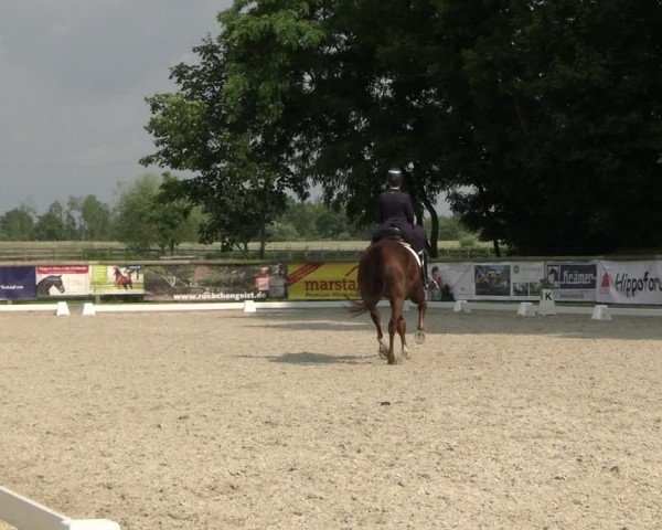 Reitturnier Ruhlsdorf 2024