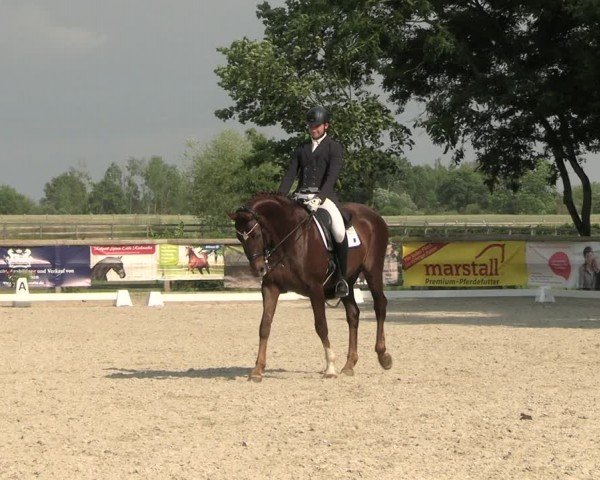 Reitturnier Ruhlsdorf 2024