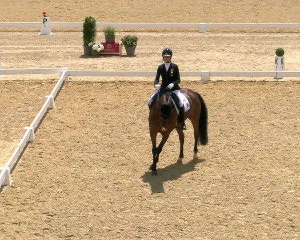 FEI internationales Paralympisches Turnier Stadl-Paura 2024