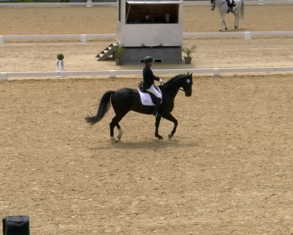 FEI internationales Paralympisches Turnier Stadl-Paura 2024