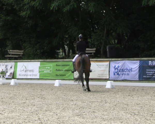 Reitturnier Ruhlsdorf 2024