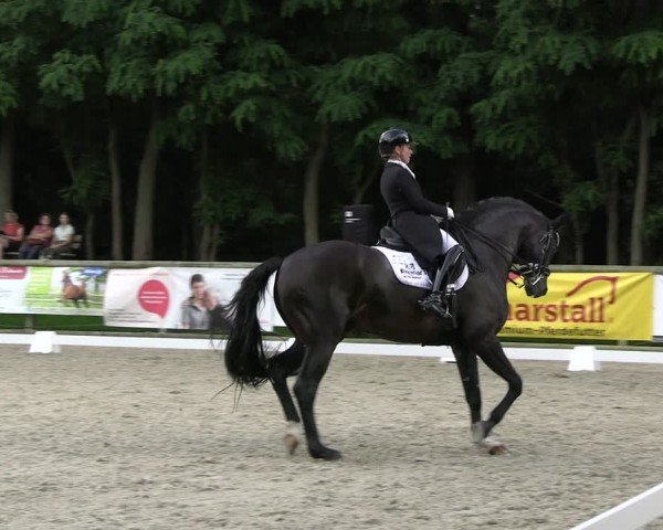 Reitturnier Ruhlsdorf 2024