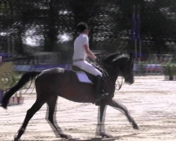 Datteln 2012