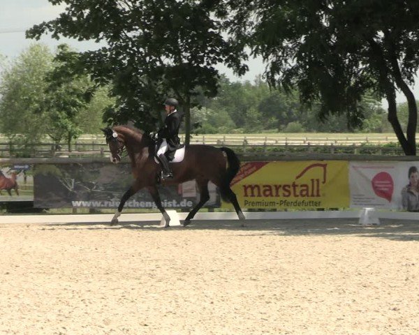Reitturnier Ruhlsdorf 2024