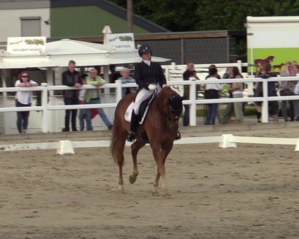 Reitturnier Dortmund-Somborn 2024