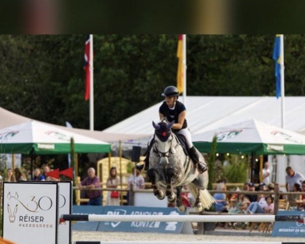 jumper Christian Grey (Holsteiner, 2014, from Christian 25)