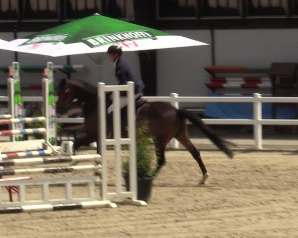Reitturnier Dortmund-Somborn 2024