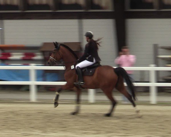 Reitturnier Dortmund-Somborn 2024