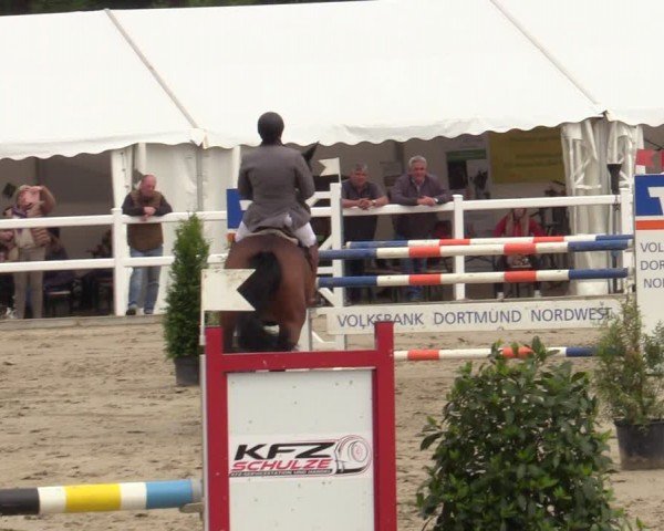Reitturnier Dortmund-Somborn 2024