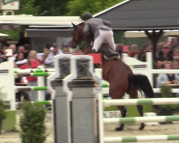 Reitturnier Dortmund-Somborn 2024