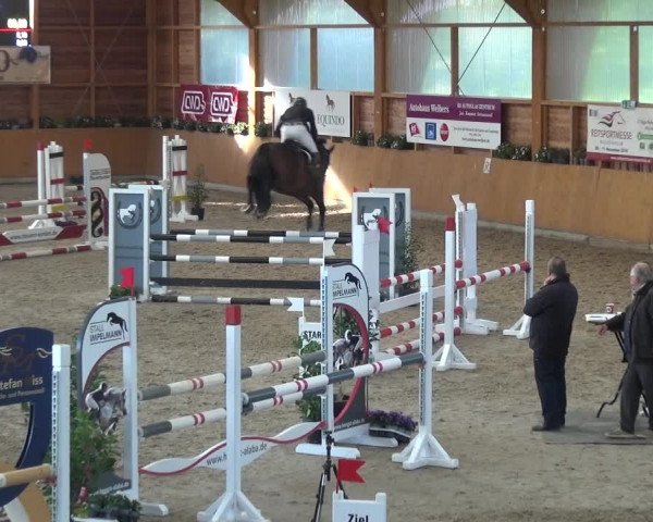 Springturnier Xanten - Reitanlage Miss 2021