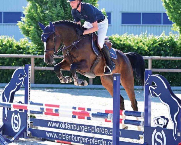 horse Benita (Oldenburg show jumper, 2020, from Baggio 17)
