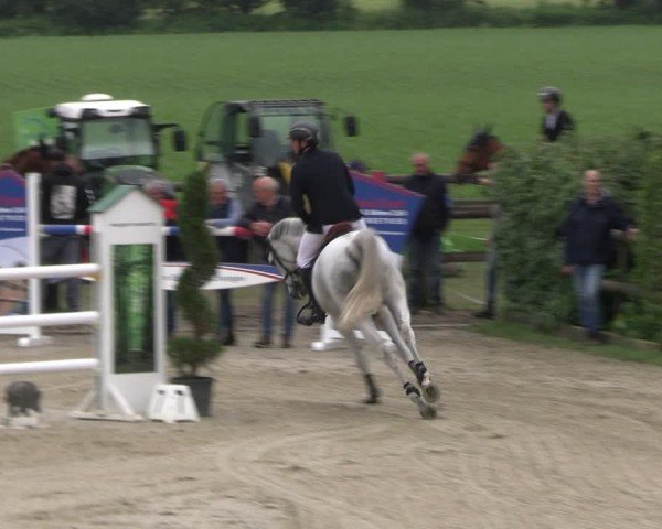 Reitturnier Kirchhellen/Stall Dieckmann 2024