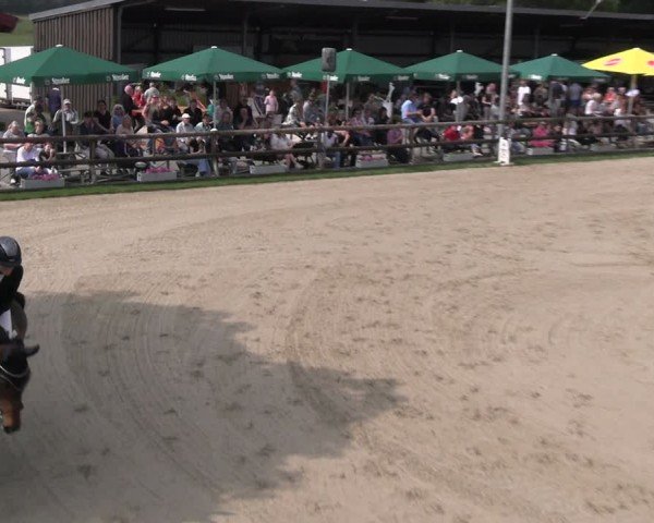 Reitturnier Kirchhellen/Stall Dieckmann 2024