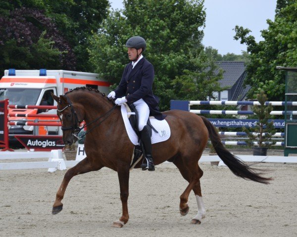 Dressurpferd Fredy (Oldenburger, 2013, von For Romance I)