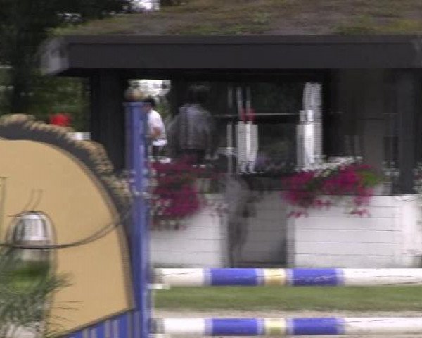 Datteln 2012