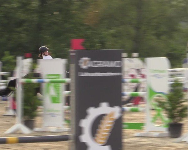 Reitturnier Münster-Angelmodde 2024
