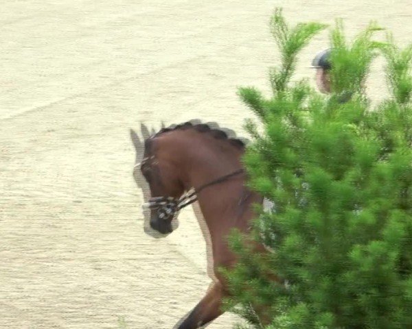 FEI Reitturnier St. Margarethen 2024