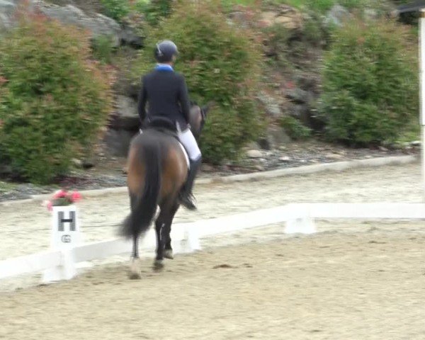 FEI Reitturnier St. Margarethen 2024