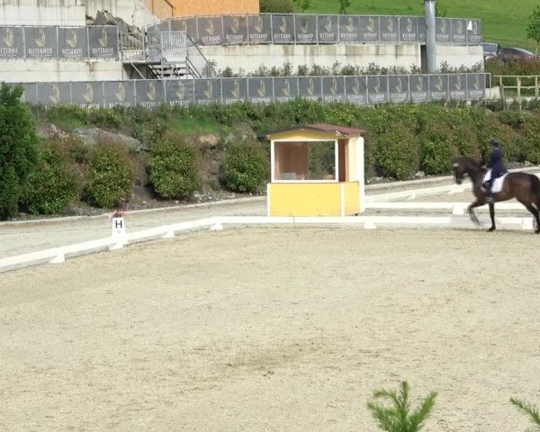 FEI Reitturnier St. Margarethen 2024