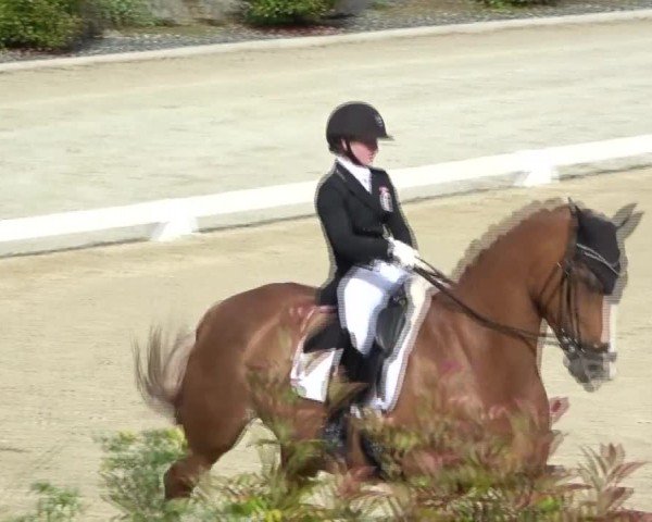 FEI Reitturnier St. Margarethen 2024