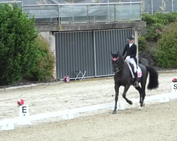 FEI Reitturnier St. Margarethen 2024