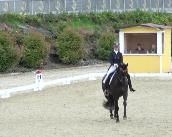 FEI Reitturnier St. Margarethen 2024