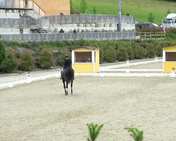 FEI Reitturnier St. Margarethen 2024