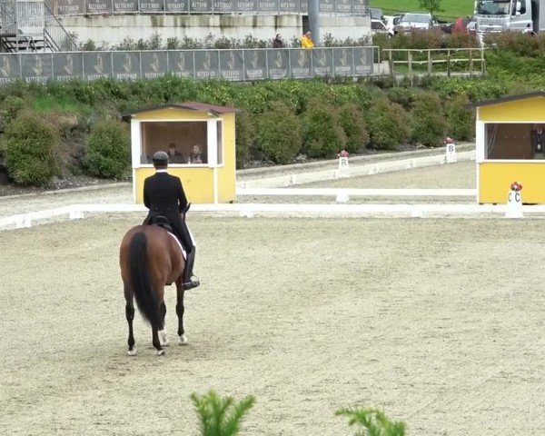 FEI Reitturnier St. Margarethen 2024